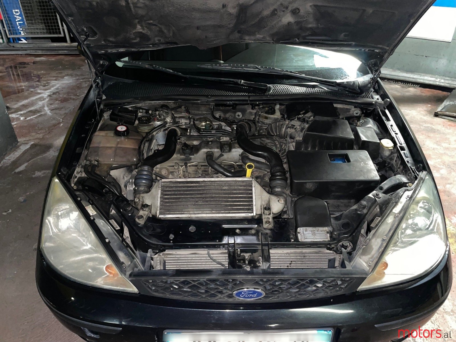 2004' Ford Focus photo #1