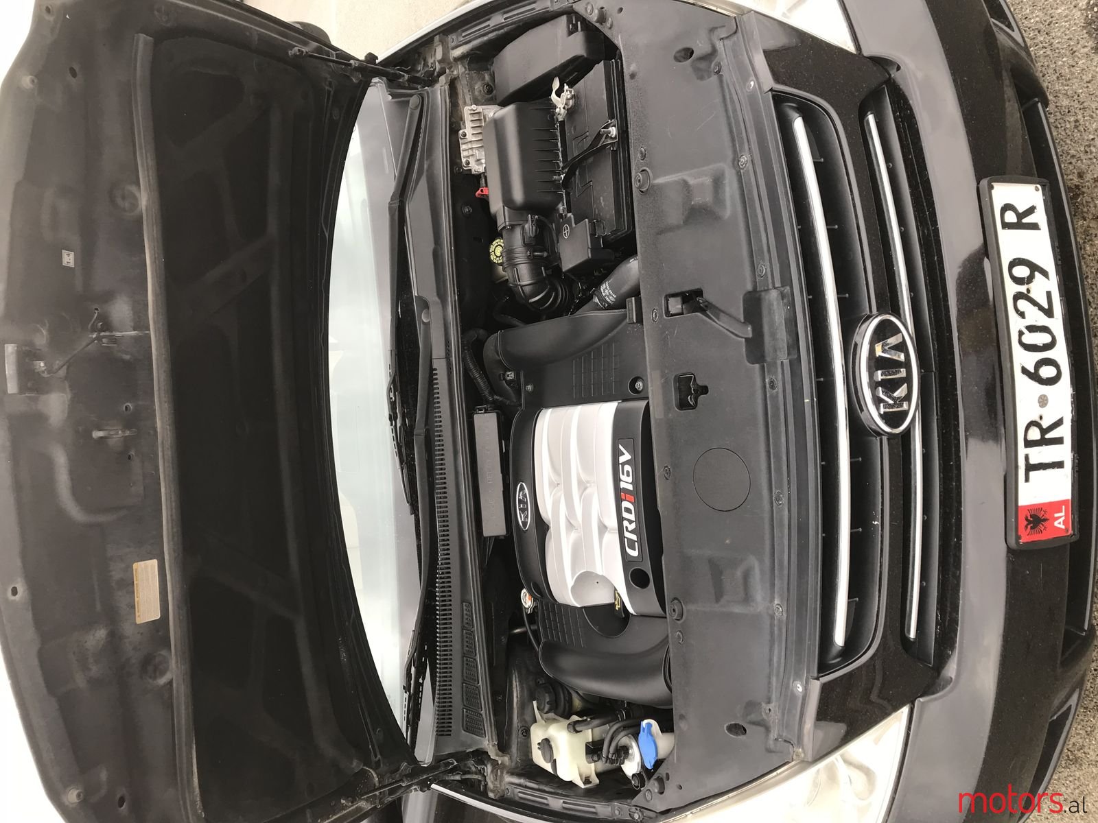 2008' Kia Carnival Nuk janë bërë ndryshime. photo #7