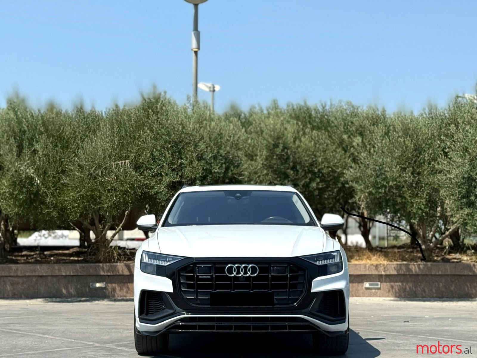 2020' Audi Q8 photo #1