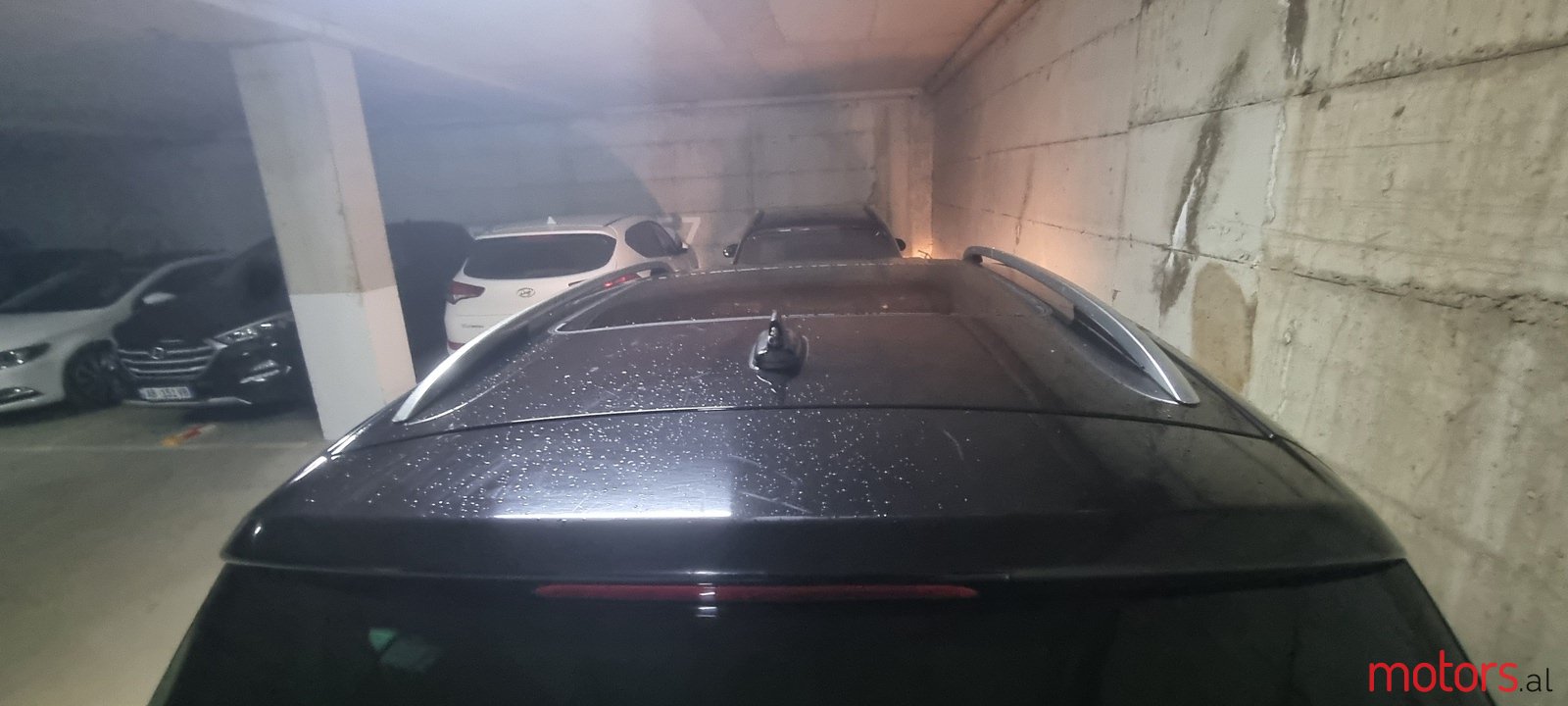 2009' Volkswagen Tiguan photo #4