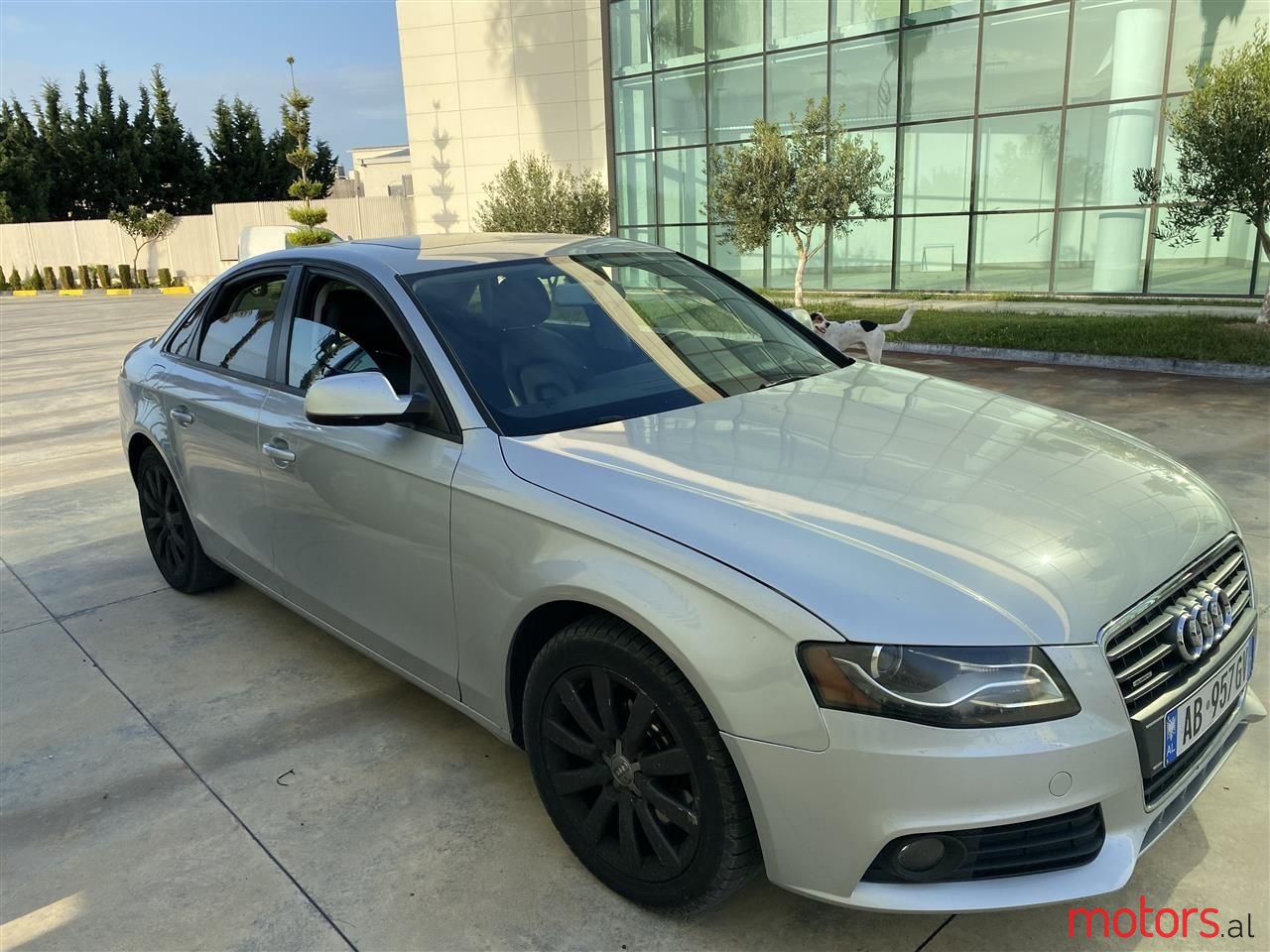 2010' Audi A4 photo #5