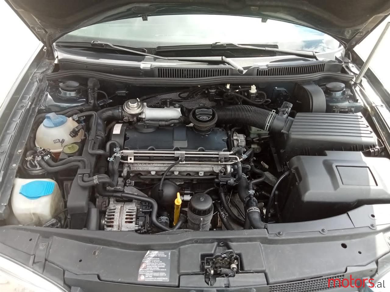 2002' Volkswagen Golf photo #6