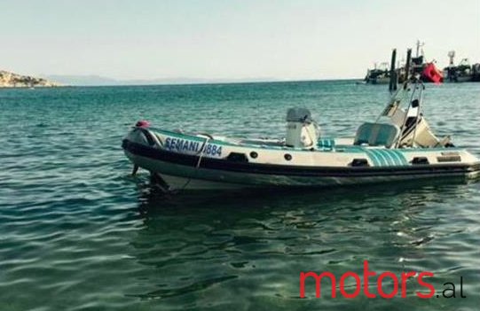 2010' Johnson BRP photo #1