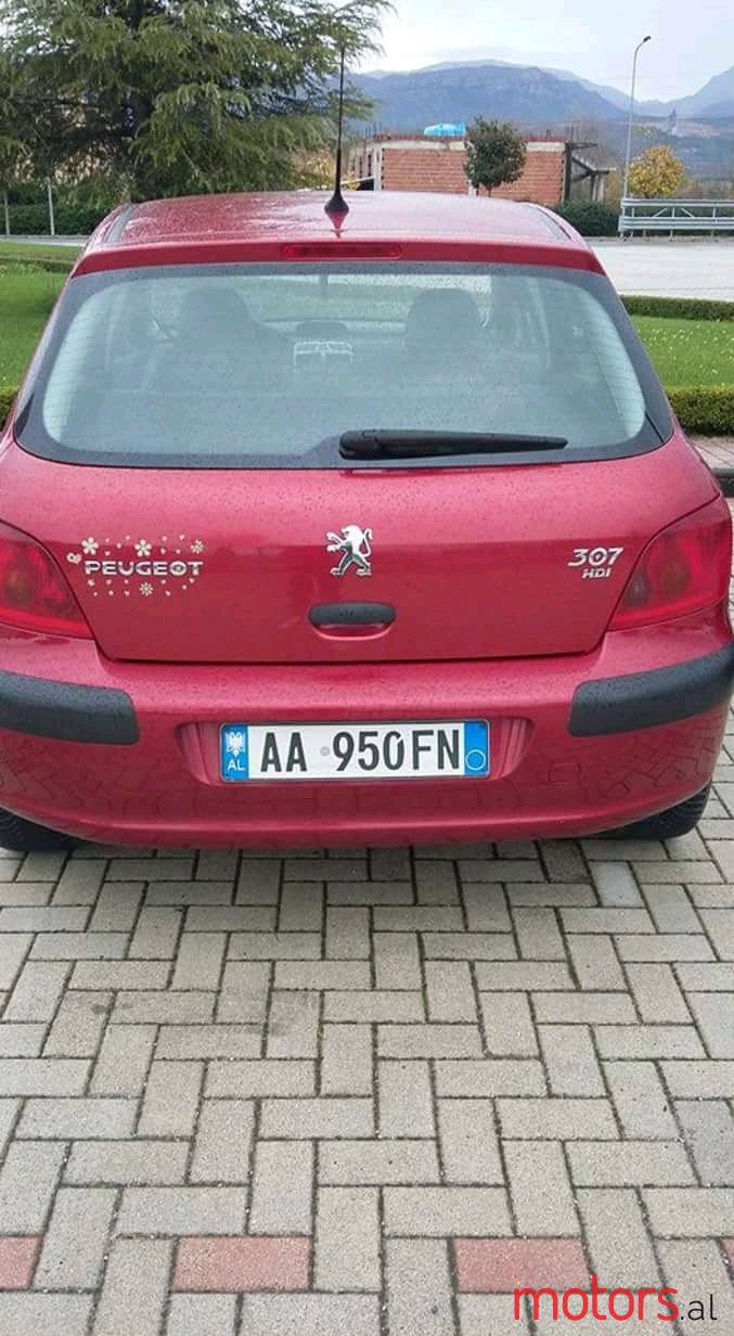 2002' Peugeot 307 Shitet photo #3