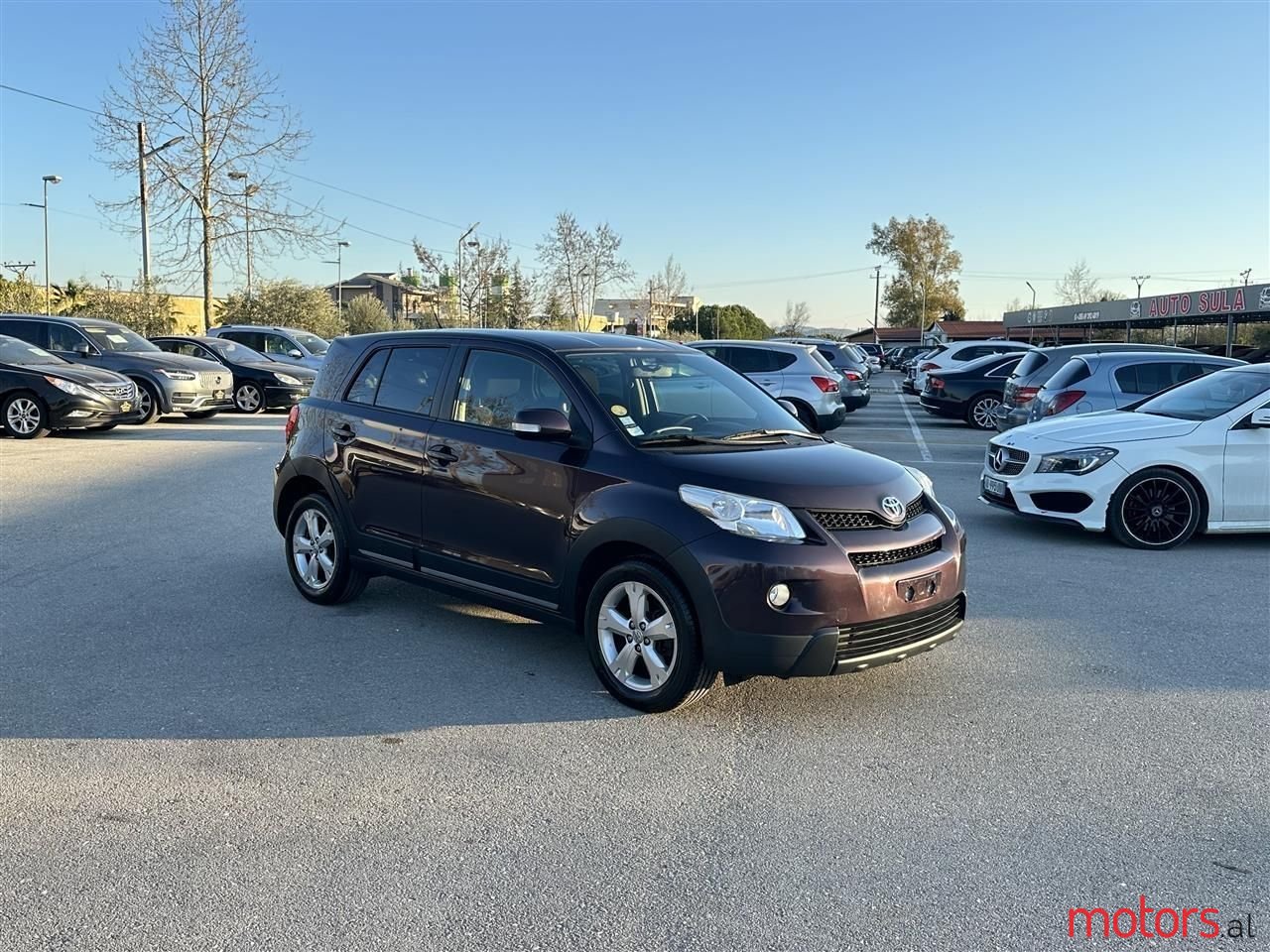 2009' Toyota Urban Cruiser photo #6