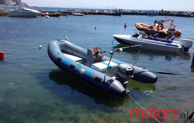 2012' Evinrude photo #2