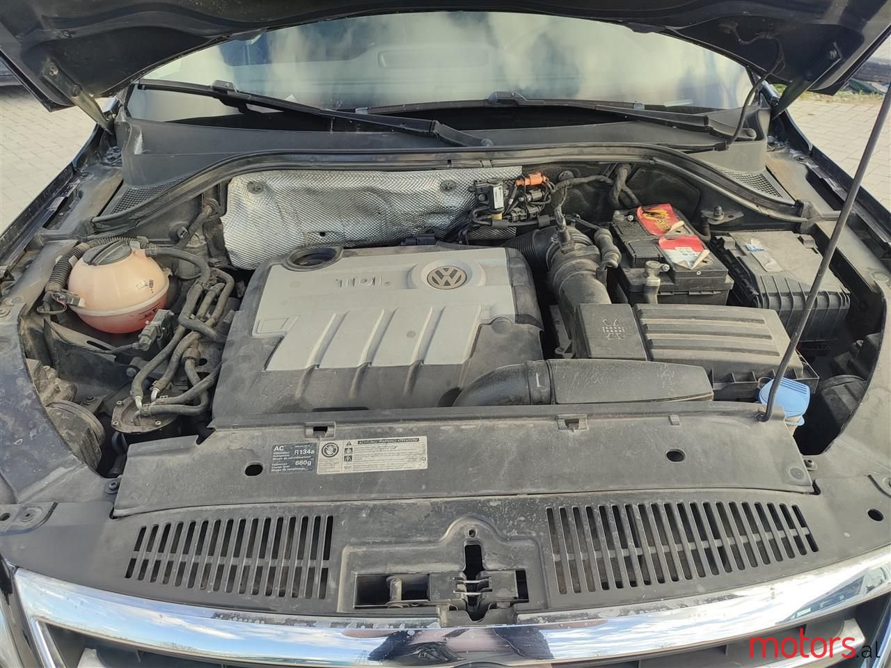 2009' Volkswagen Tiguan photo #6