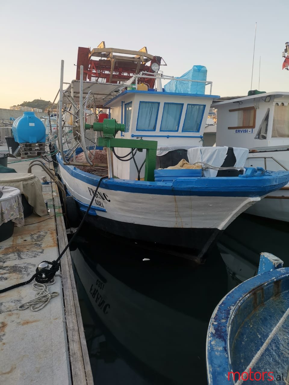 2008' Rybitwa photo #1