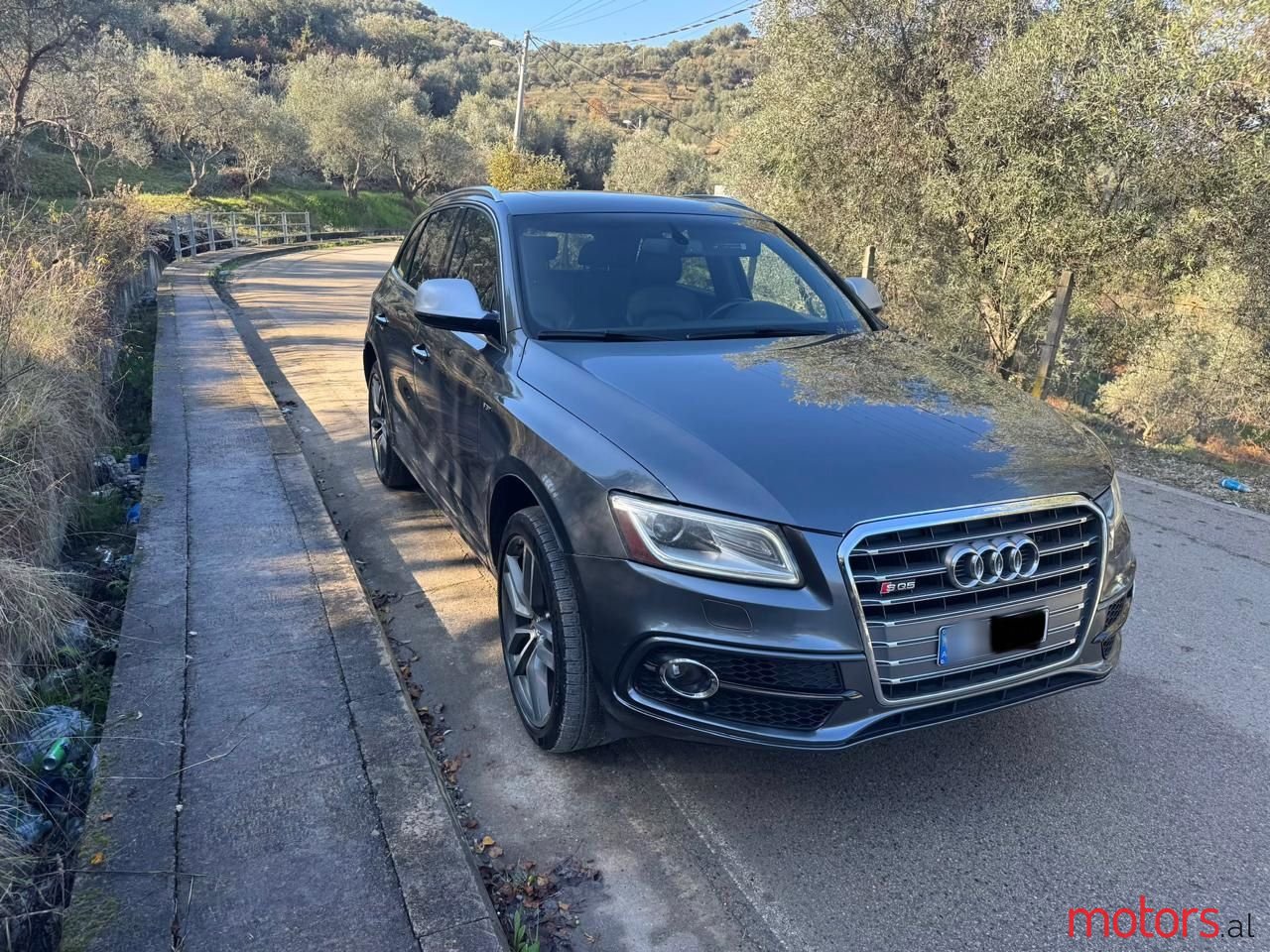 2015' Audi SQ5 photo #1
