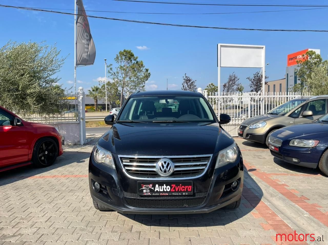 2011' Volkswagen Tiguan photo #1