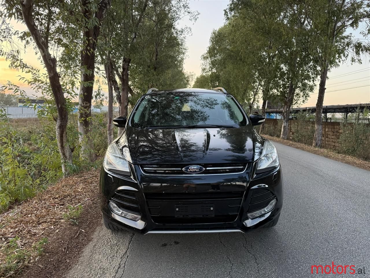 2014' Ford Kuga photo #2