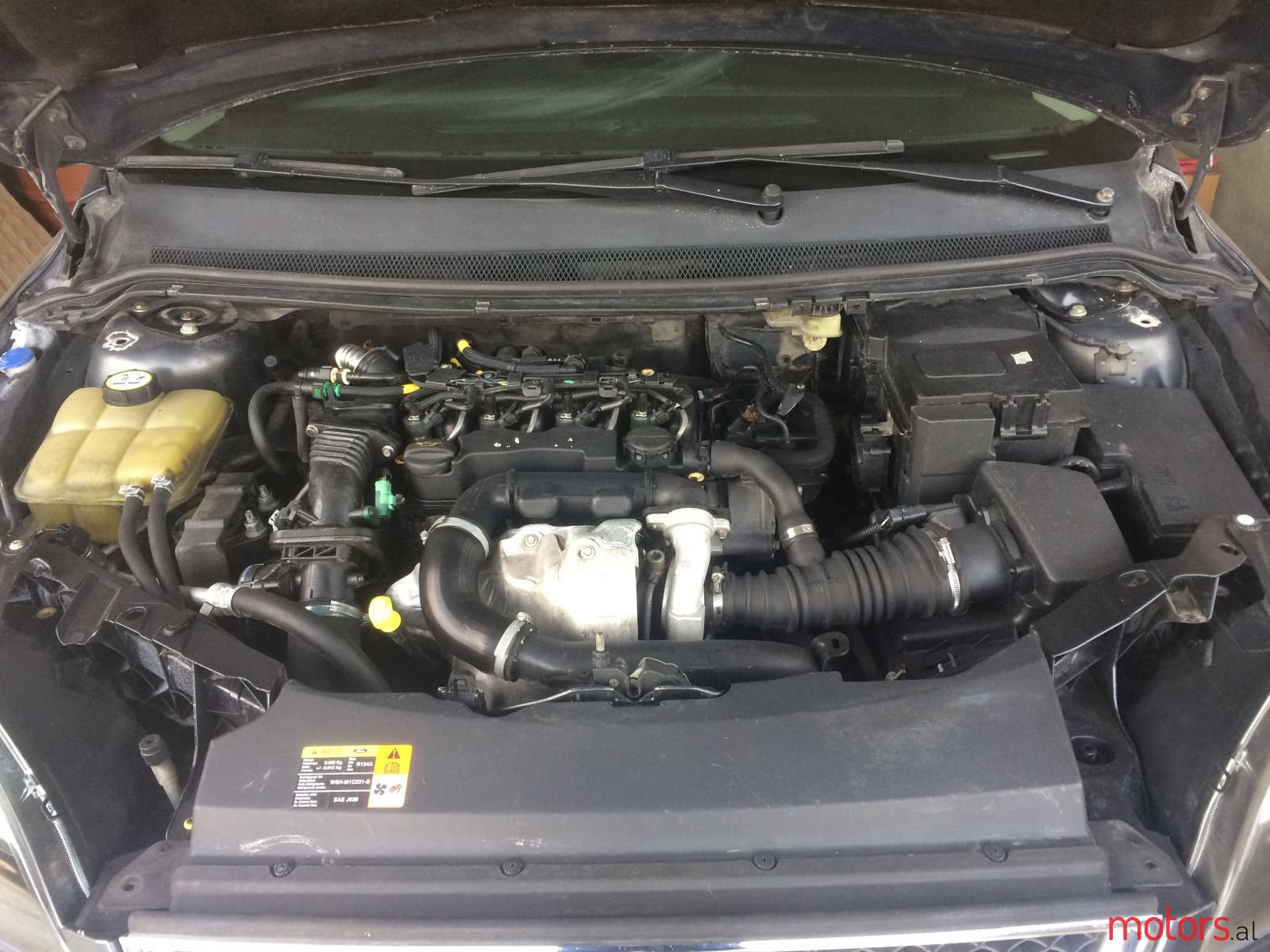 2005' Ford Focus photo #6