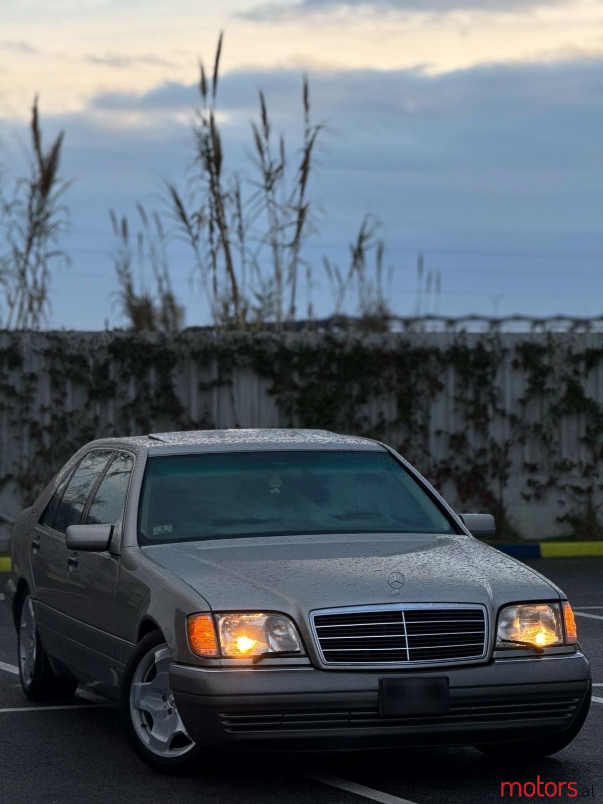 1995' Mercedes-Benz S 500 photo #2