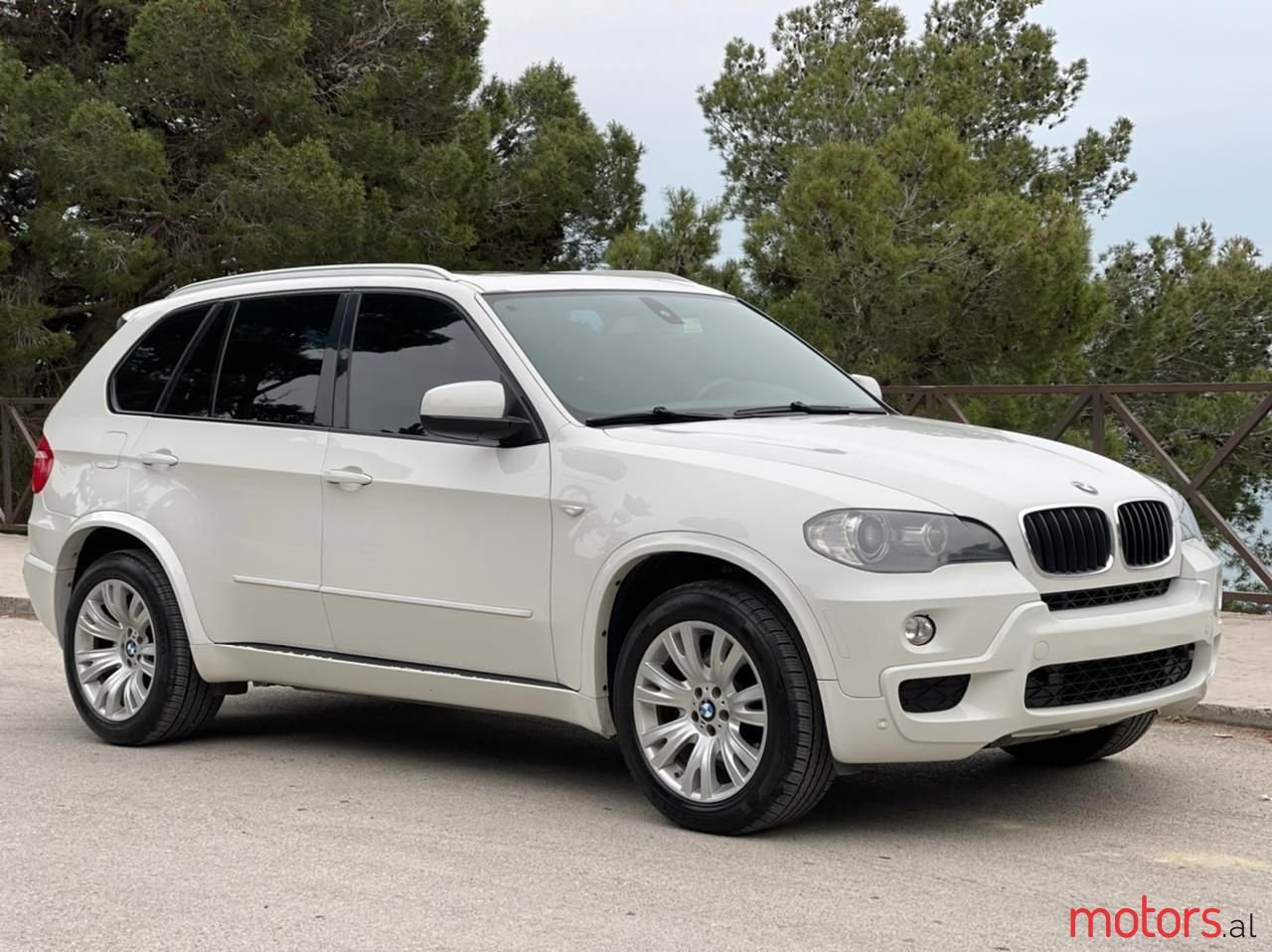 2009' BMW X5 photo #5