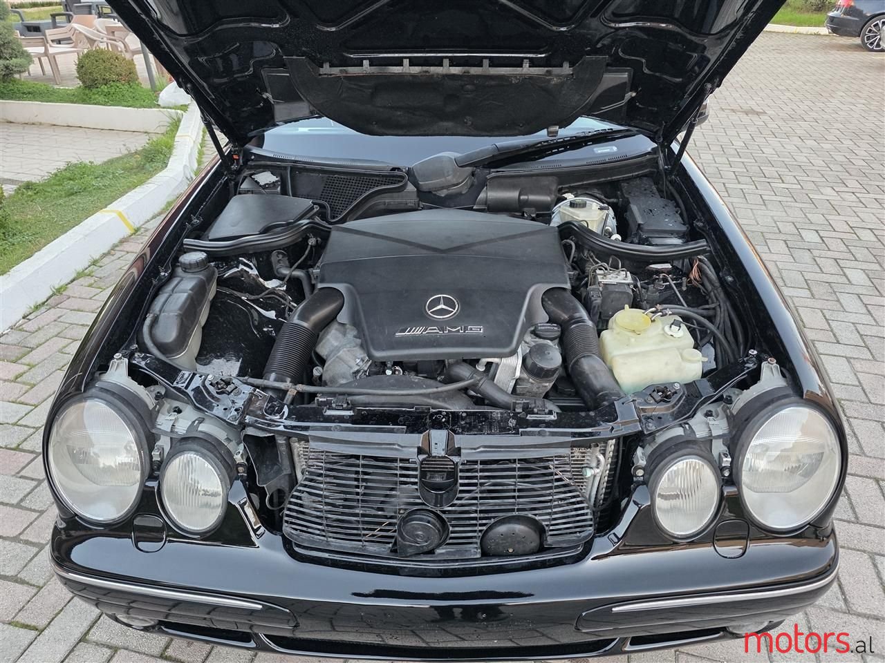 2002' Mercedes-Benz E 55 AMG photo #3