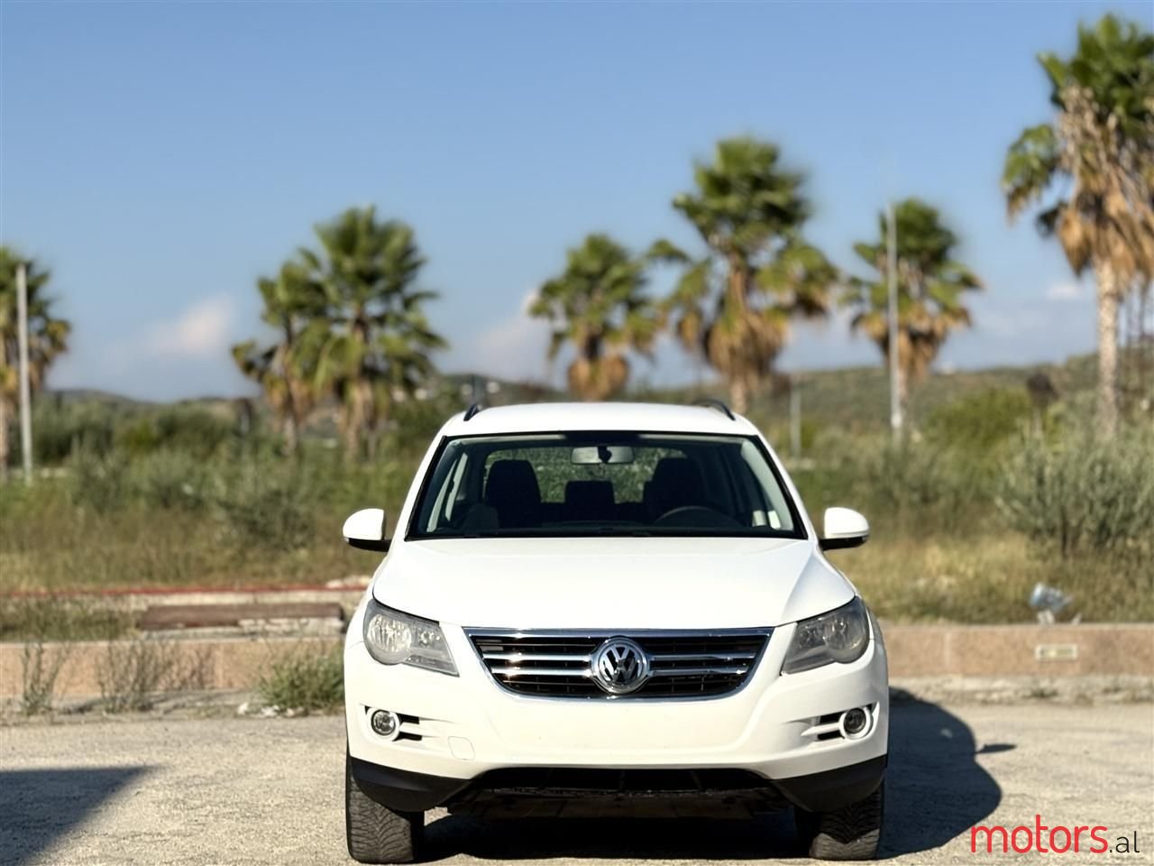 2009' Volkswagen Tiguan photo #6