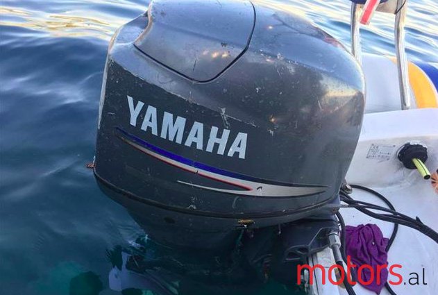 2009' Johnson BRP photo #5