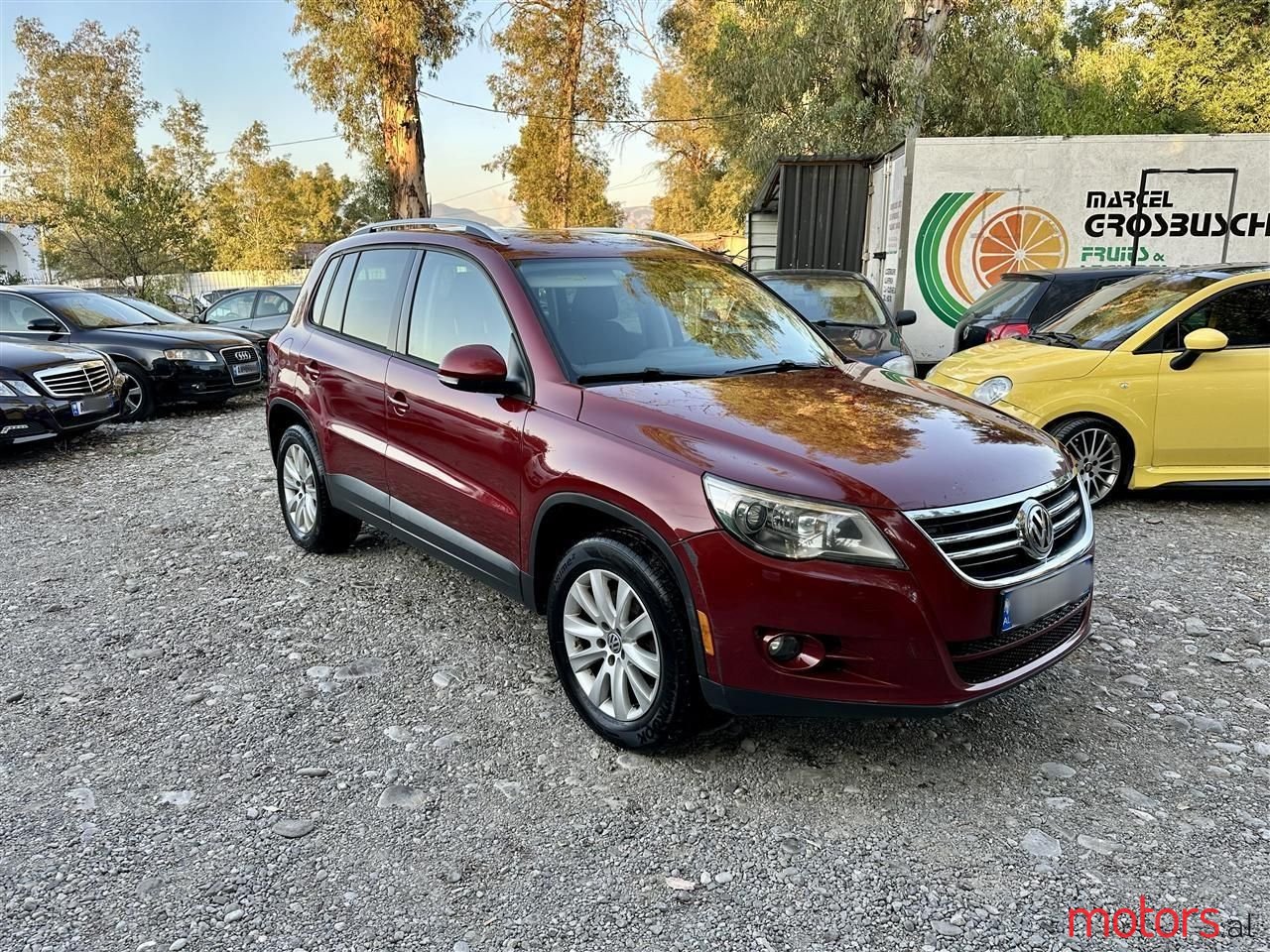 2010' Volkswagen Tiguan photo #1