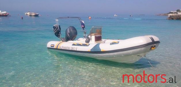 2009' Johnson BRP photo #1