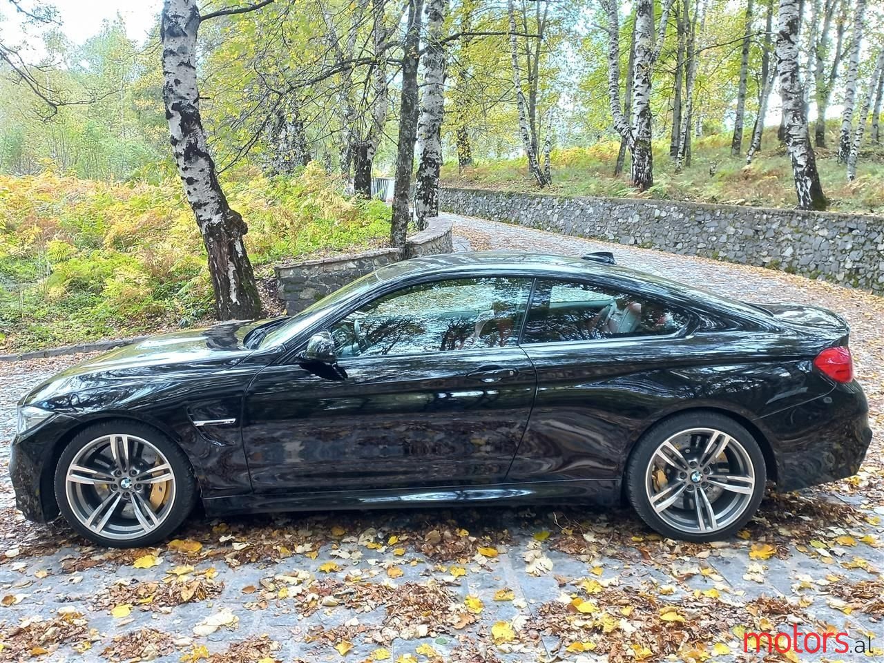 2015' BMW M4 photo #4