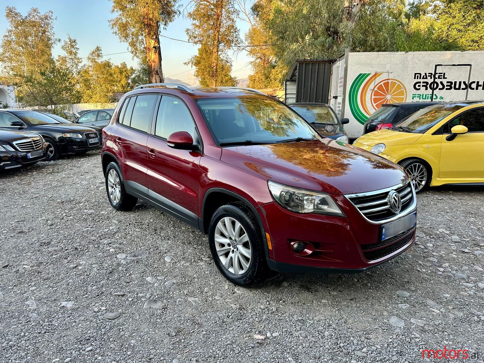 2010' Volkswagen Tiguan photo #1