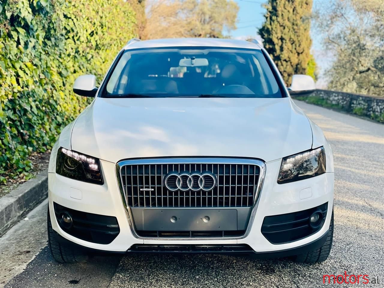 2010' Audi Q5 photo #5