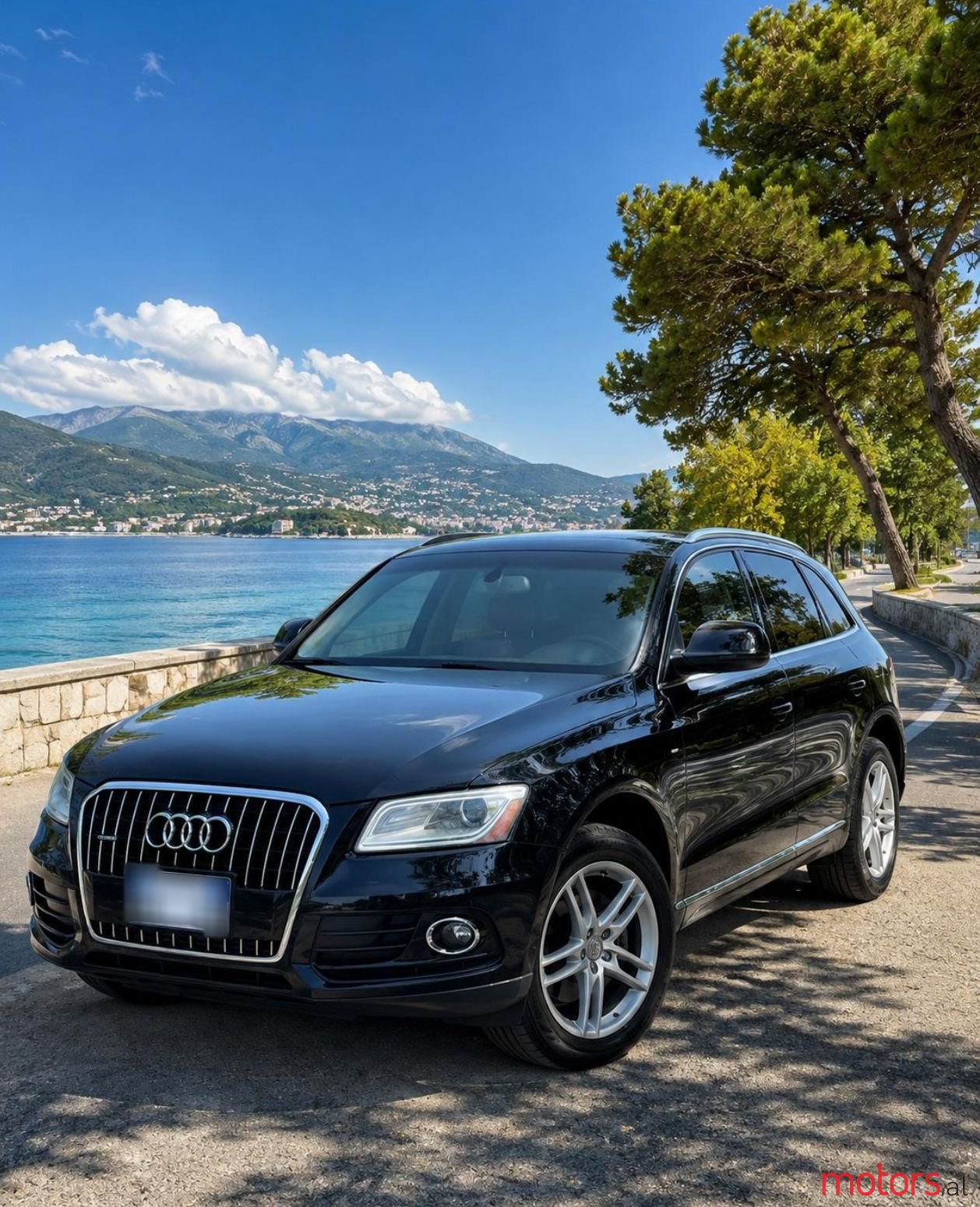 2014' Audi Q5 photo #1
