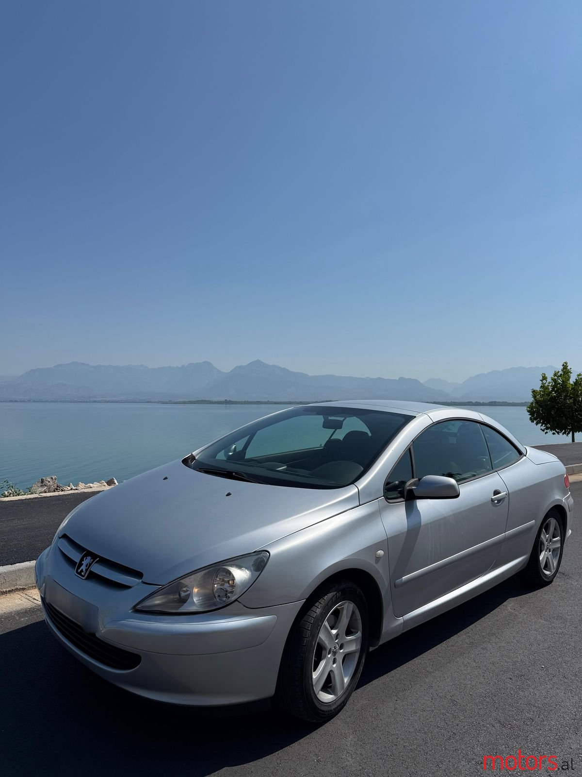 2004' Peugeot 307 photo #5
