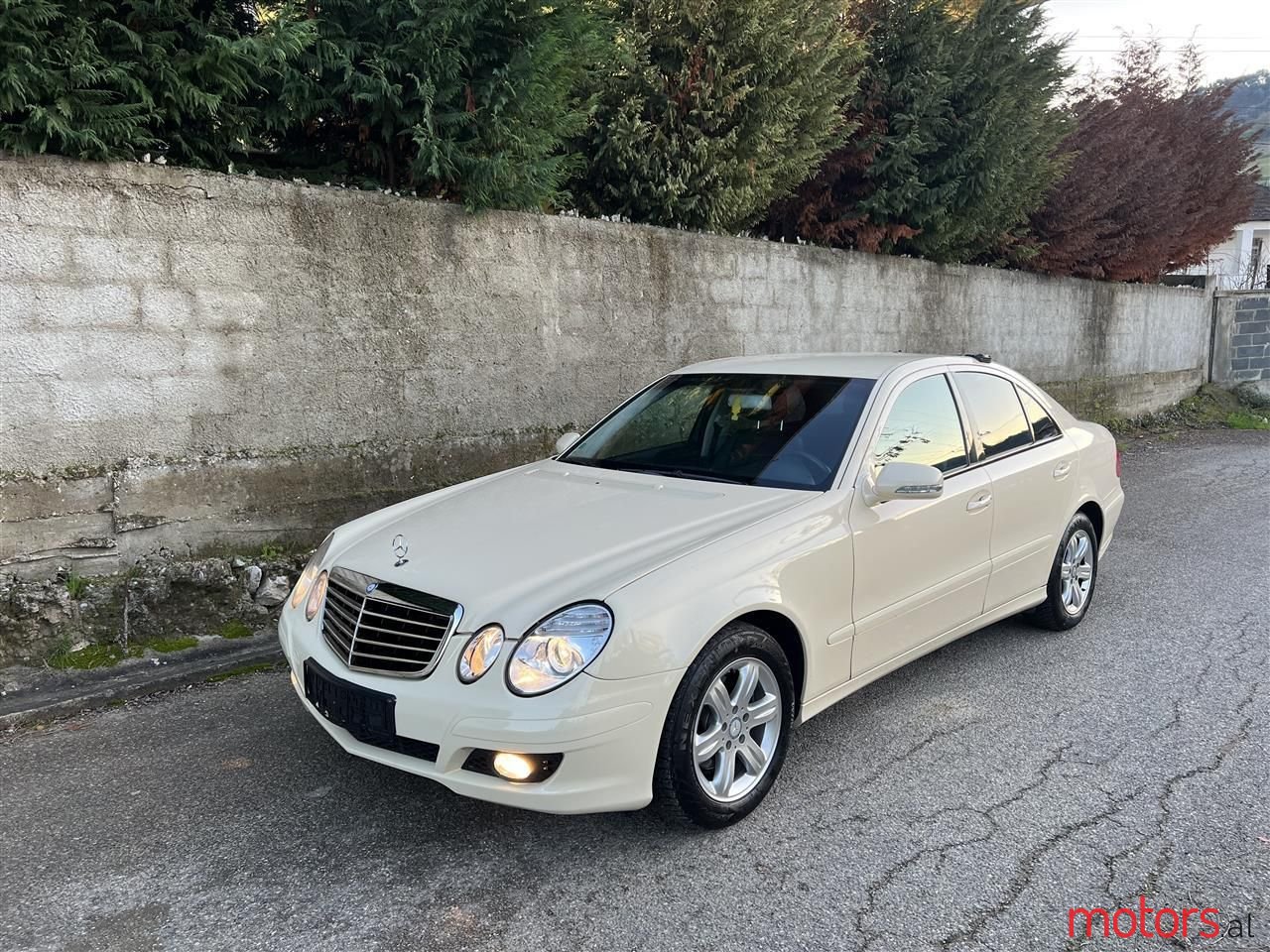 2009' Mercedes-Benz E 220 photo #1